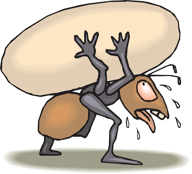 ant-44588_640