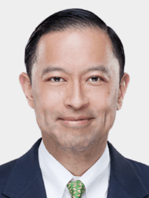 Thomas Trikasih Lembong*